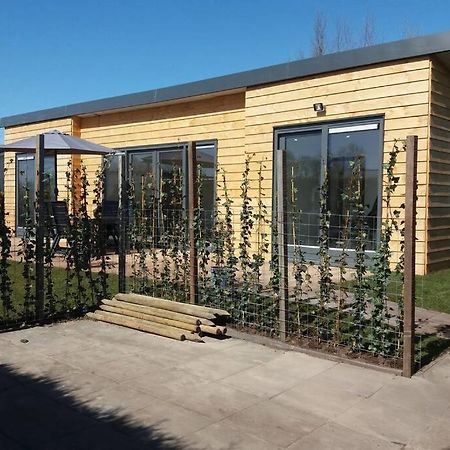 Luxe Vakantie Bungalow Met 3 Slaapkamers Dronrijp Zewnętrze zdjęcie